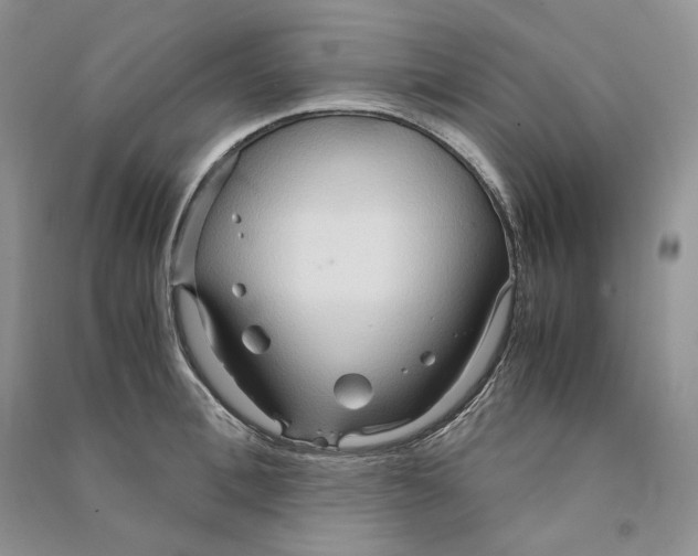 X0000090600996200708141327