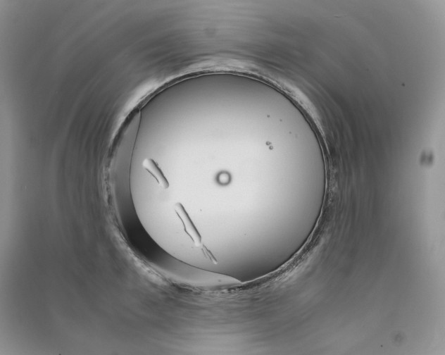 X0000090600997200708141327