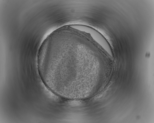 X0000090600998200708141327