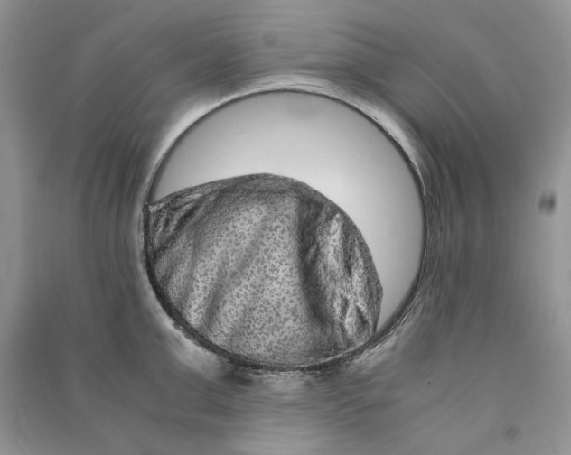 X0000090600999200708141327