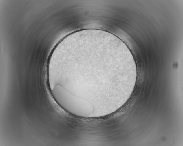 X0000090601000200708141327