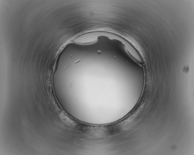 X0000090601001200708141327