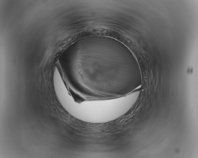 X0000090601013200708141326