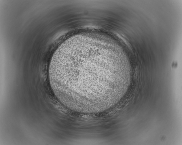 X0000090601015200708141326