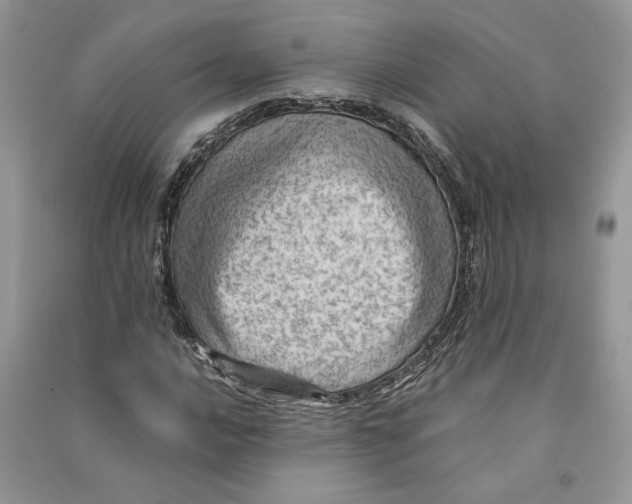 X0000090601016200708141326