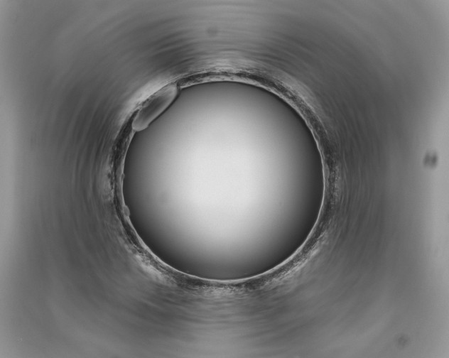 X0000090601018200708141326