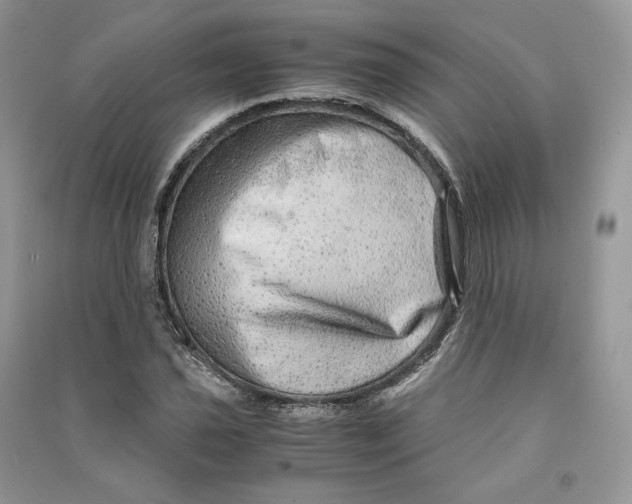 X0000090601021200708141326