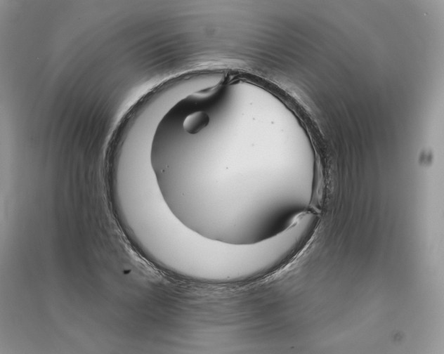 X0000090601022200708141326