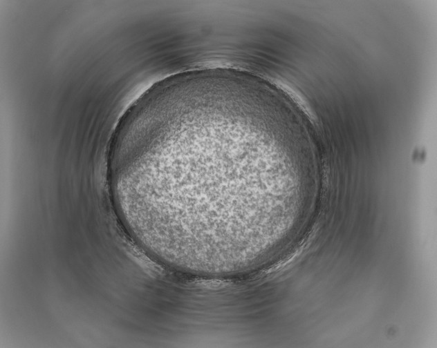 X0000090601023200708141326