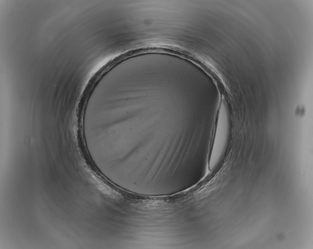 X0000090601024200708141326