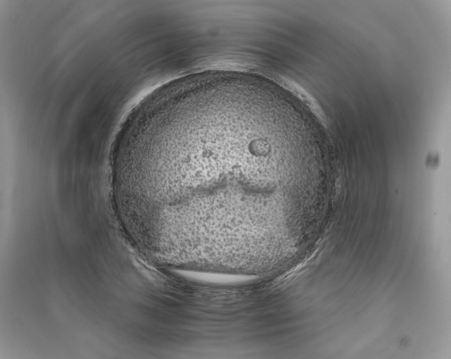 X0000090601027200708141326