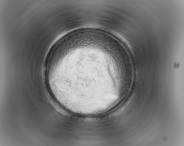 X0000090601029200708141326