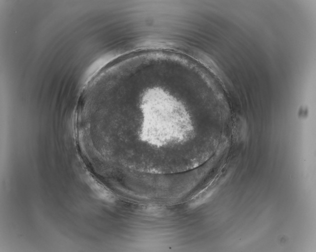 X0000090601030200708141326