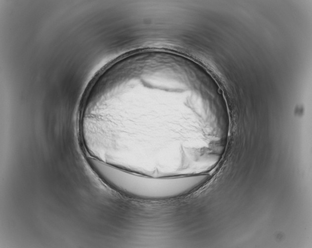 X0000090601032200708141326