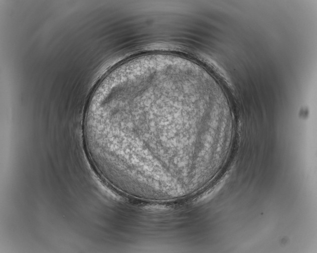 X0000090601033200708141326