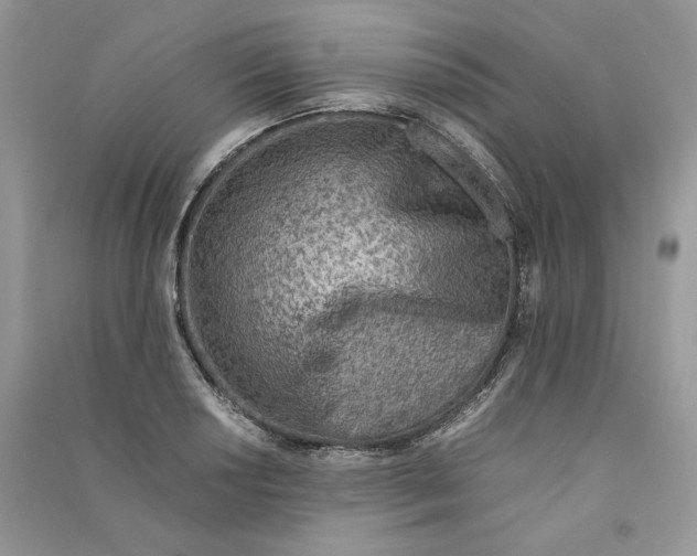 X0000090601034200708141326