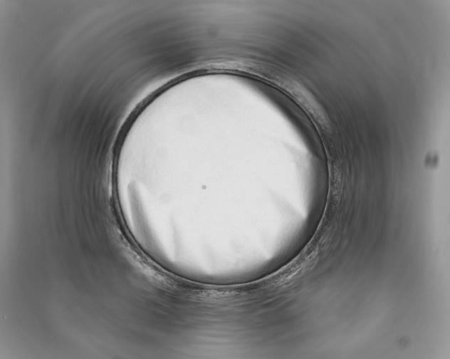 X0000090601036200708141326