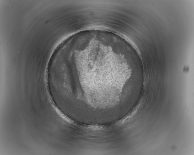 X0000090601037200708141326