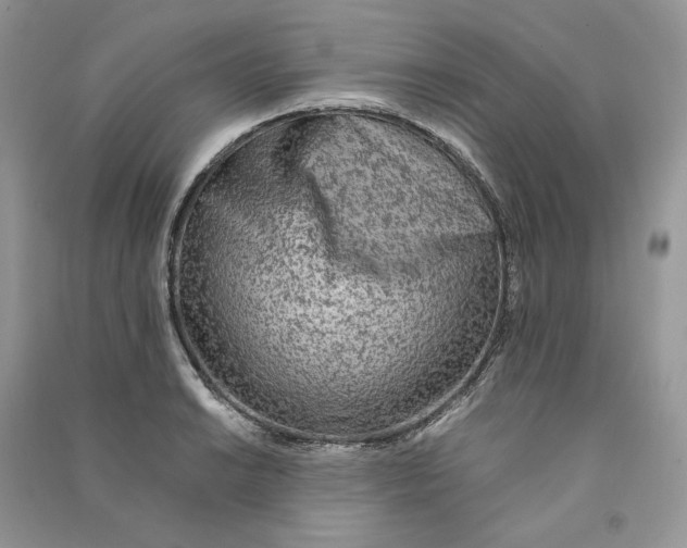 X0000090601038200708141326