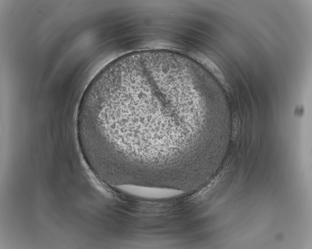 X0000090601039200708141326