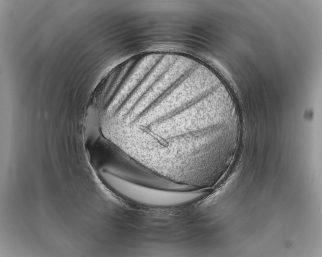 X0000090601041200708141326