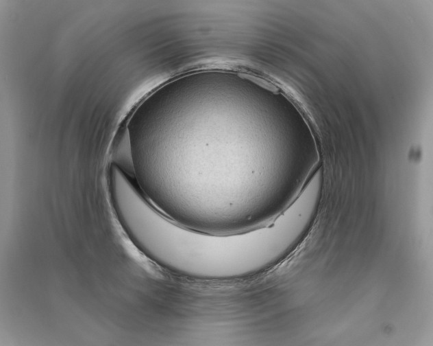 X0000090601042200708141326