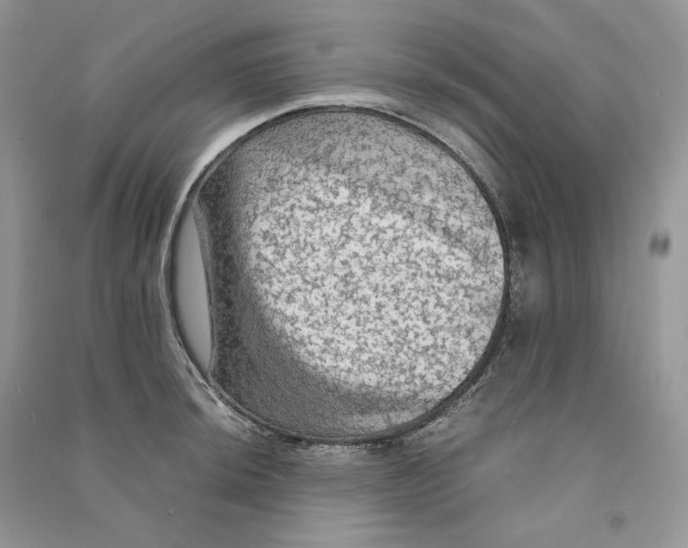 X0000090601044200708141326