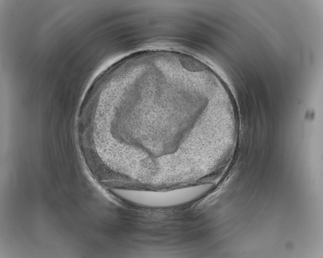 X0000090601045200708141326