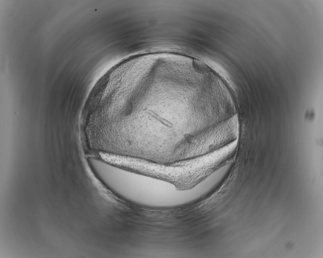 X0000090601047200708141327