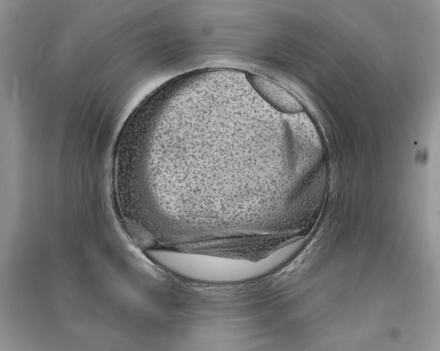 X0000090601048200708141327