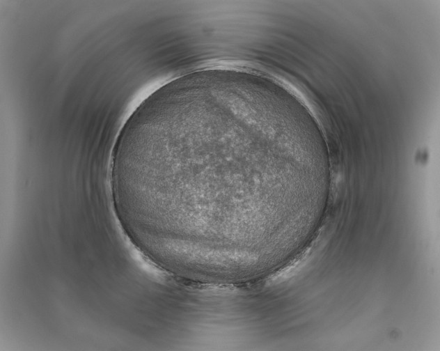 X0000090601050200708141327