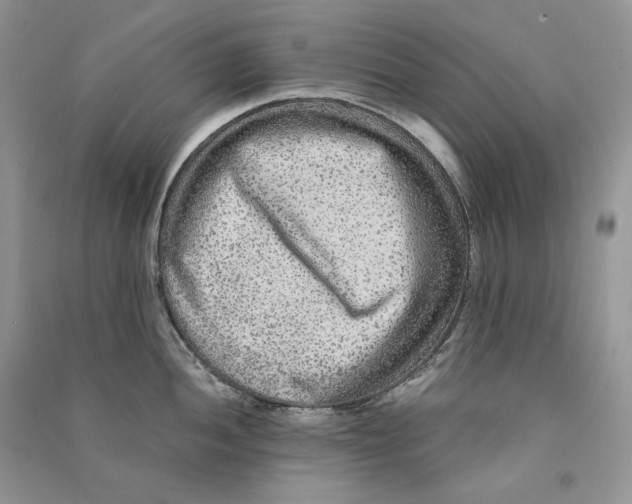 X0000090601052200708141327