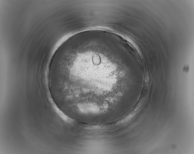 X0000090601054200708141327