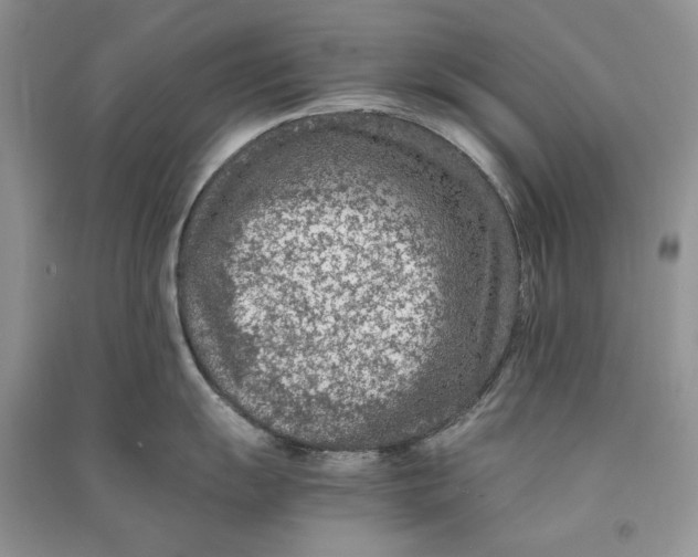 X0000090601055200708141327