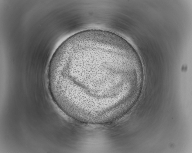 X0000090601056200708141327