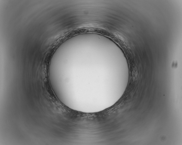 X0000090601062200708141326