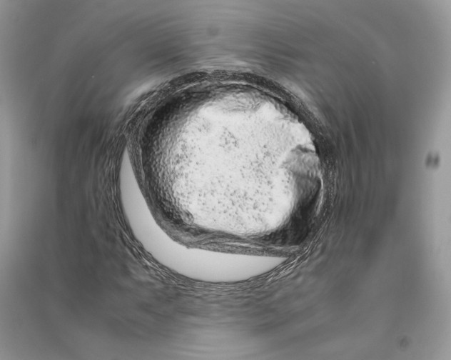 X0000090601063200708141326