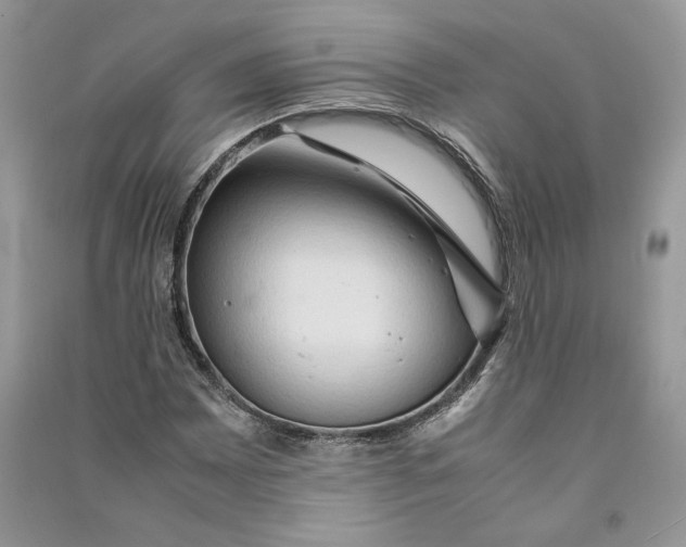 X0000090601065200708141326