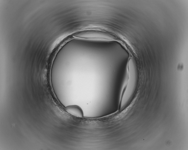 X0000090601066200708141326