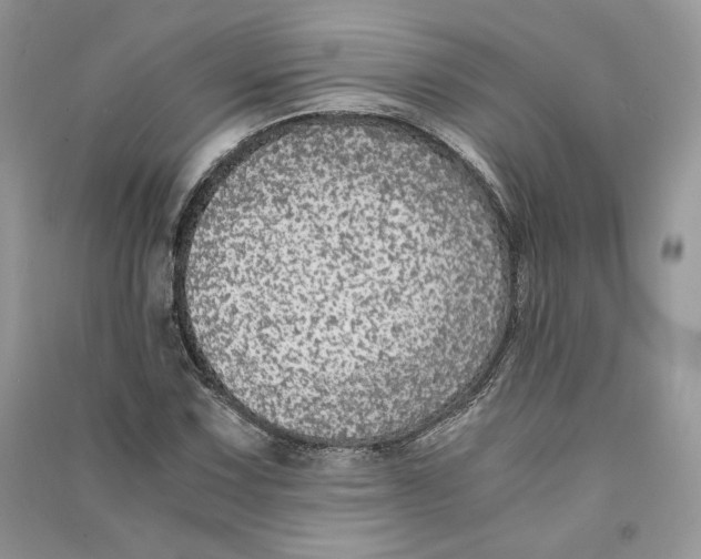 X0000090601067200708141326