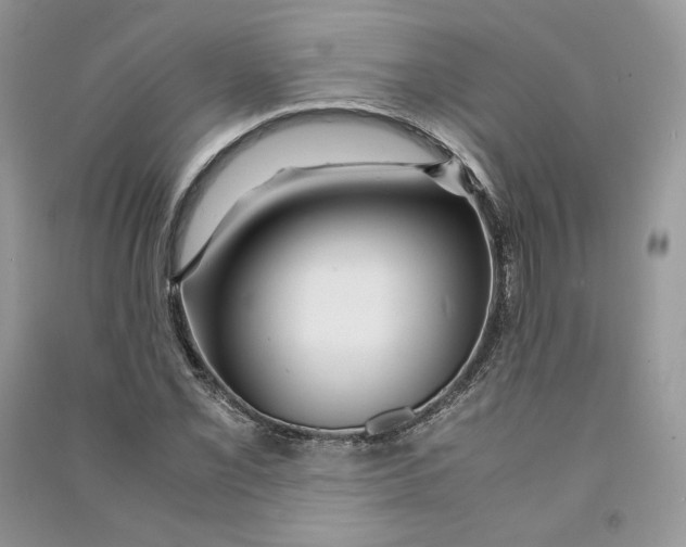 X0000090601069200708141326