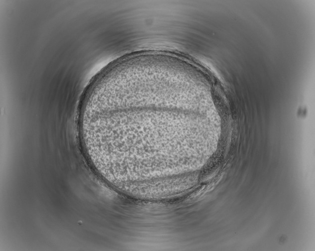 X0000090601071200708141326