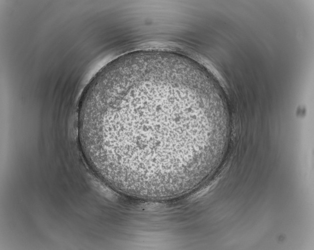 X0000090601075200708141326