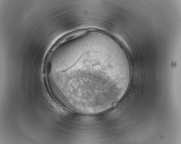 X0000090601076200708141326