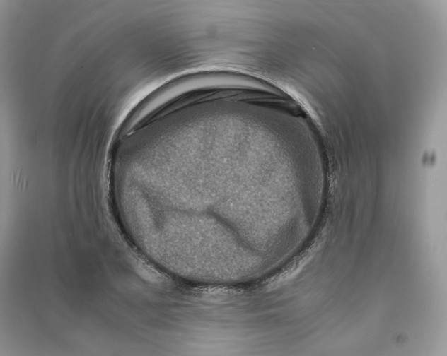 X0000090601077200708141326