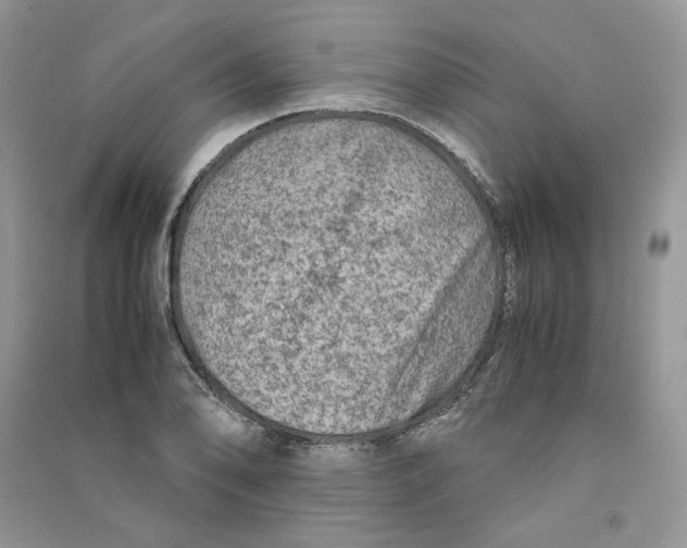 X0000090601078200708141326