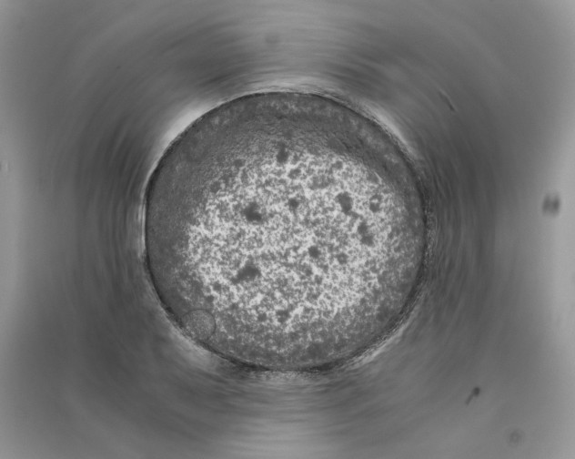 X0000090601079200708141326