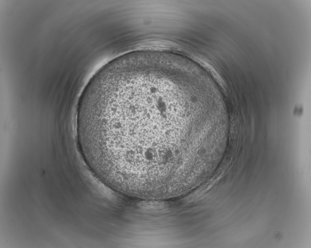 X0000090601083200708141326