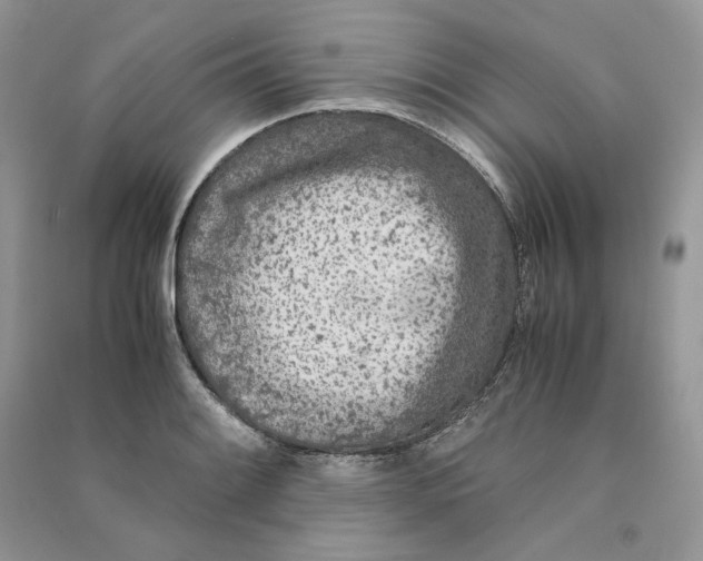 X0000090601084200708141326