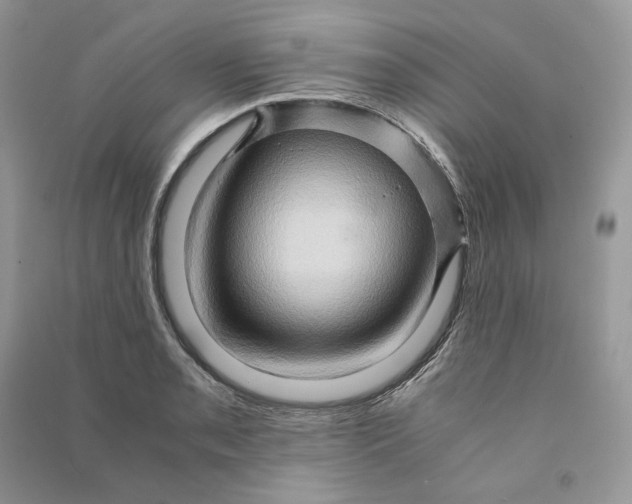 X0000090601085200708141326